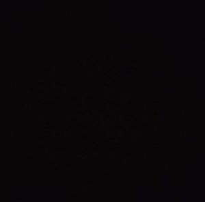 Meet your Posher, Markus